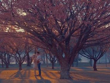 Pré Casamentos de Carla e Felipe - Lovestory