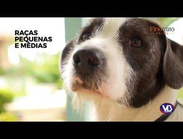 Publicitários de FINOTRATO PRIME SÊNIOR