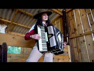 15 Anos de Clip Cavalo tostado