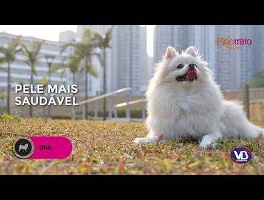 Publicitários de FINOTRATO PRIME SENSITIVE