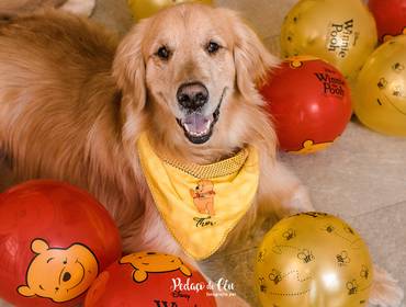 Aniversário Pet de Festa Pet Thor