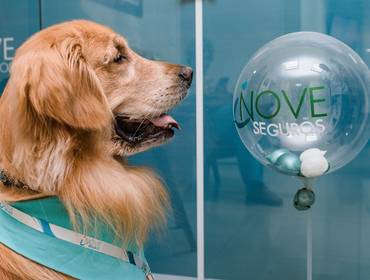 Marcas de Comercial Pet - Inove Seguros