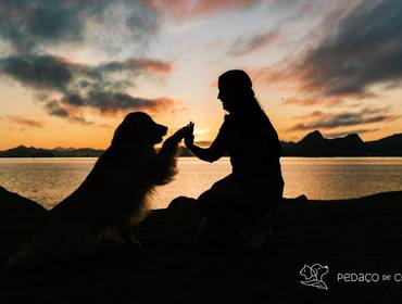 Ensaio Pet Temático de Mãe de Pet Jeans