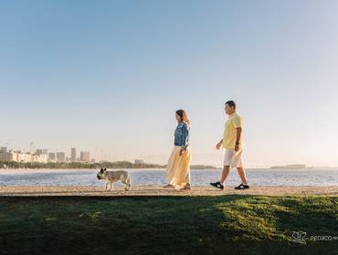 Ensaio Pet Externo de Nalla