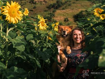 Ensaio Pet Externo de Thanos e o Campo de Girassóis