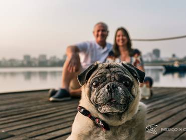 Ensaio Pet Externo de Elvis 10 anos