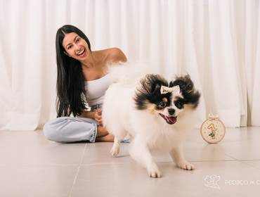 Estúdio Pet de Prada Book Atemporal