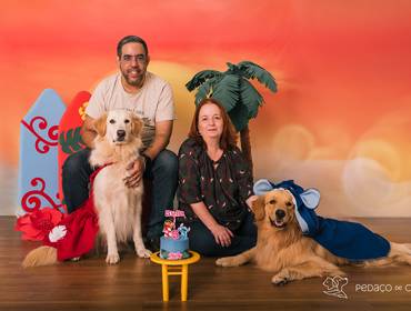 Smash the Cake de Stella 5 anos