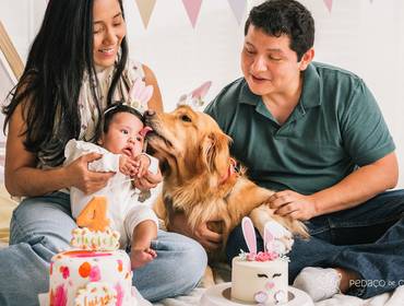 Smash the Cake de Leia 4 anos e Luiza 4 meses: um Cake Smash em família