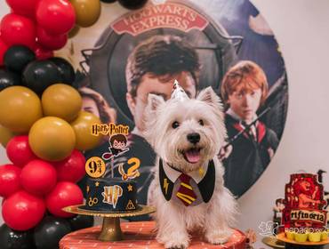 Aniversário Pet de Harry Potter 2 anos do Westie Magia