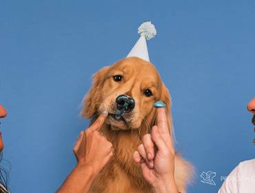 Smash the Cake de Pool Party do Buda