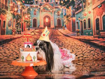 Smash the Cake de Ensaio de aniversário - Estrela 7 anos