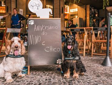 Aniversário Pet de Festa Pet Nino e Chico