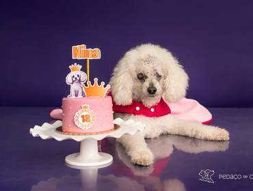 Smash the Cake de Cake Smash - Colors Party Nina Maria - 18 anos