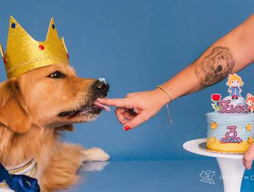 Smash the Cake de Smash - Colors Party Zico - Três anos