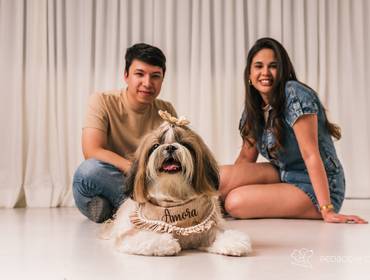 Estúdio Pet de Amora - Atemporal