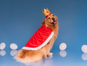 Smash the Cake de Phelps - O pequeno príncipe!