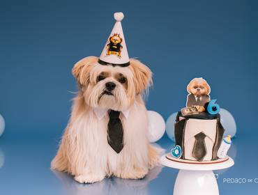 Smash the Cake de Thor - 6 anos sendo o Chefinho