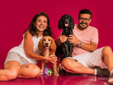 Estúdio Pet de Bela e Mel: O Amor que Vive na Calma