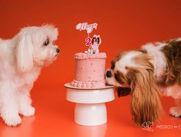 Smash the Cake de Maya e Mel