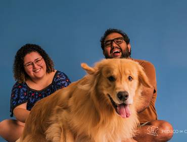 Estúdio Pet de Ensaio Pet do Jorge: O Sonho de Ter um Golden que Virou Amor no Rio de Janeiro