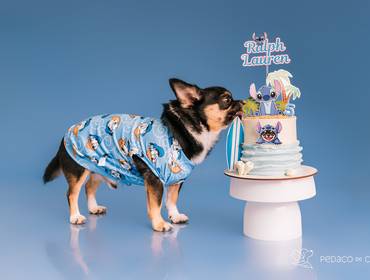 Smash the Cake de Ralph Loren e a Beleza de se Sentir Seguro