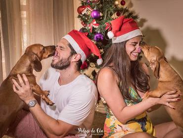 Ensaio Pet Temático de Natal Pet Família Beto e Bia