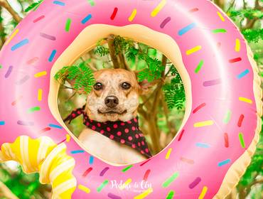 Smash the Cake de Smash The Cake - Gaia 1 ano