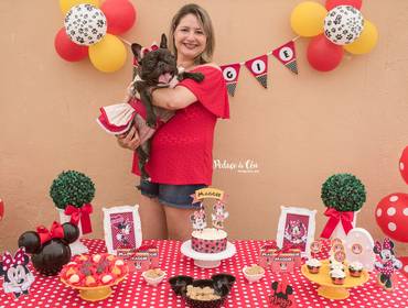Aniversário Pet de Festa Pet Meg 2 anos