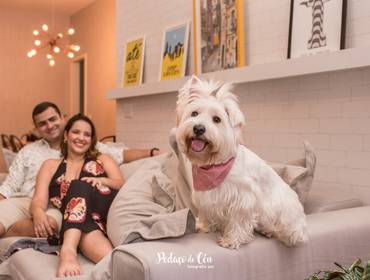 Ensaio Pet em Casa de Ensaio Pet Jade