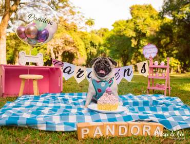 Smash the Cake de Acompanhamento Pandora - 1 ano