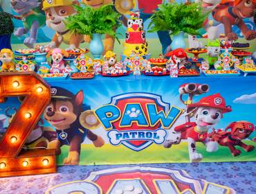 MENINOS de Patrulha Canina - 2 Aninho John