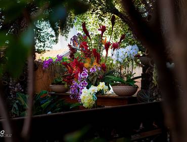 Editorial de Flores