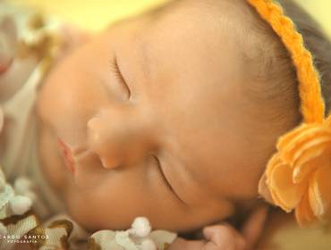 Estúdio de Cecília - 8 dias.