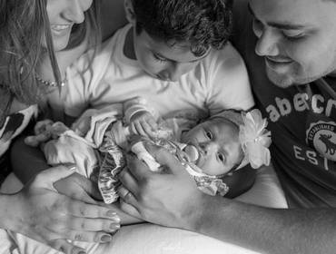 Famílias de Chegada da Alice