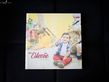 ÁLBUNS de ÁLBUM DO ESTEVÃO