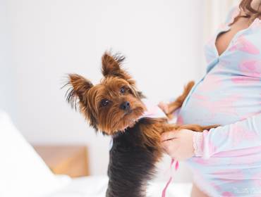 GESTANTE EXTERNAS de VEM, ALICE {ENSAIO GESTANTE}