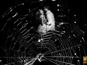 Minhas premiações de Wedding Photography Select (WPS)