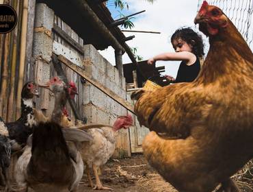 Minhas premiações de INSPIRATION PHOTOGRAPHERS FAMILY AWARDS 3º EDIÇÃO