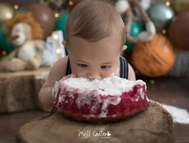 Sessão A Hora do Bolo de { Henrique }