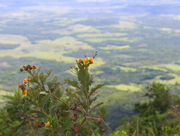 Paraguay de Cerro 3 Kandu
