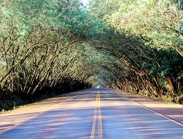 Paraguay de Capitán Meza y Santa Rita