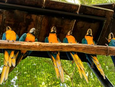 Exterior de Parque das aves