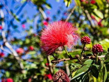 Paraguay de Refugio Biológico TATÍ YUPÍ