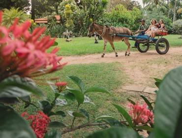 Festa Infantil Marília de Aniversário da Marina (4 anos)
