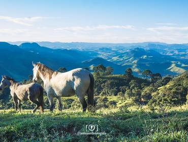 Passeios de Grupos de Pedra da Nuvem Branca