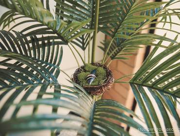 Casamento de Jeanette e Kevin