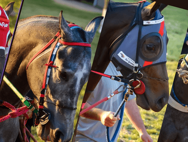Corrida de GP Haras Gherar e           GP Guido Irineu Pelanda. 22/08/25