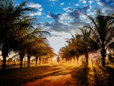 ENSAIOS  de In my House Família do Zé 