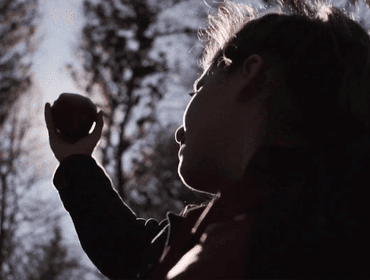 15 anos - Clip de Once Upon a Time (Clip) 🎬